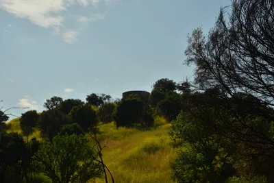 DSC_6453 (Large).JPG